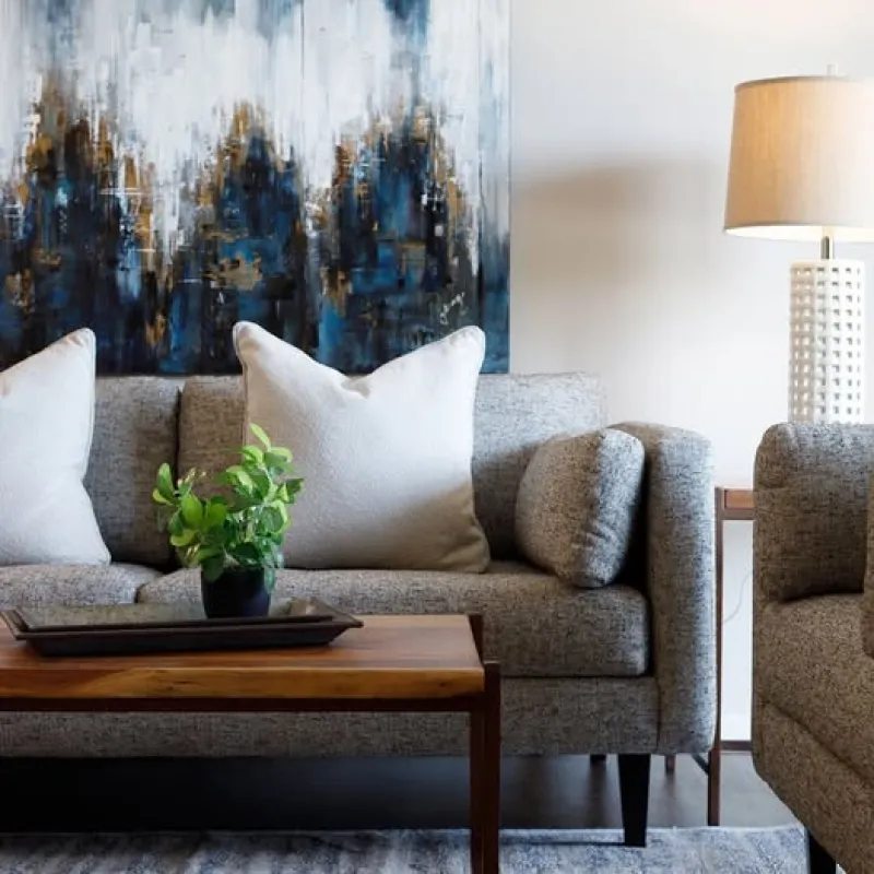 Furniture Options 